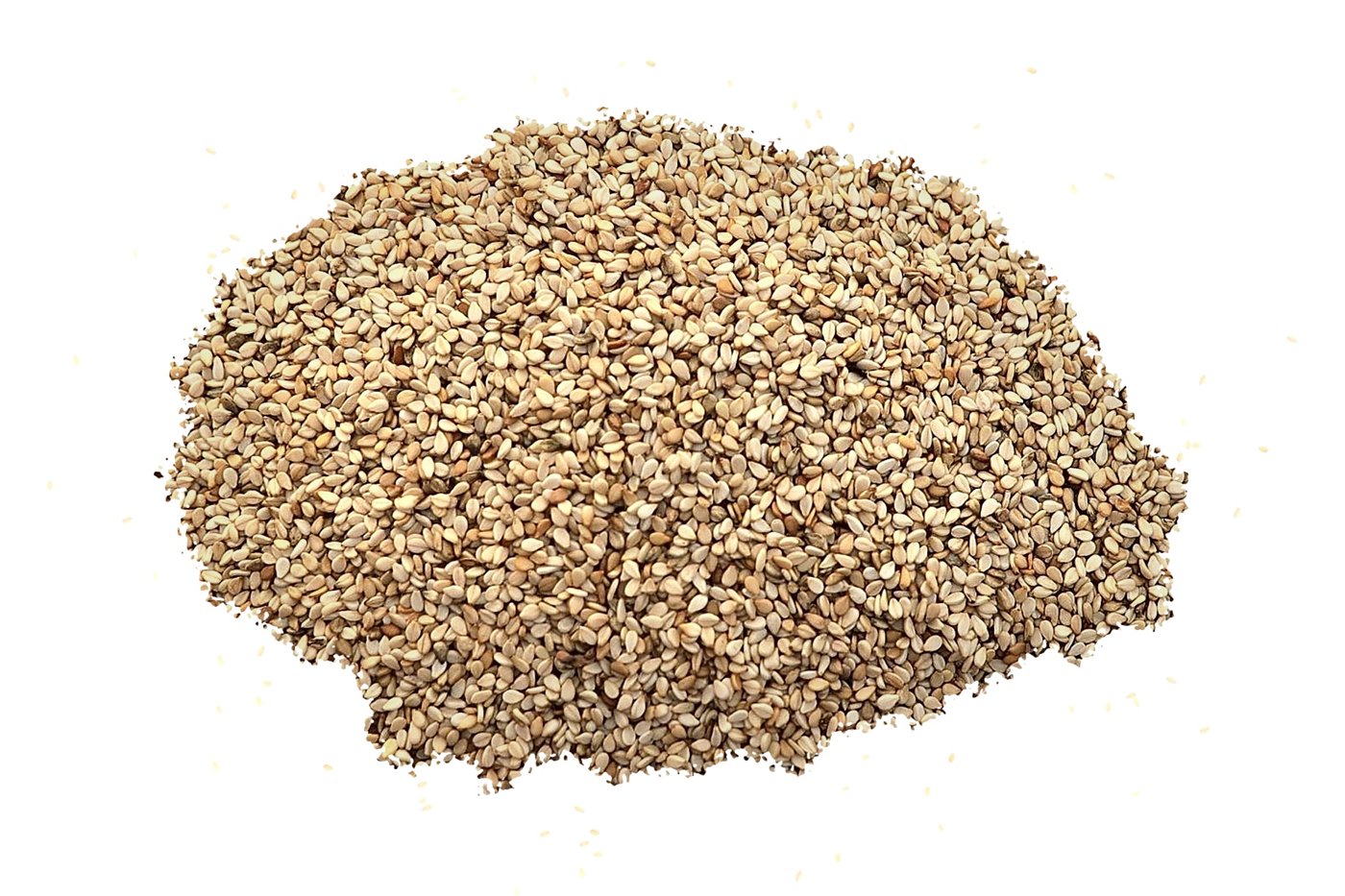 Cleaned organic sesame seeds in a pile